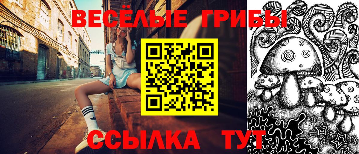 Псилоцибиновые грибы Cubensis Дедовск